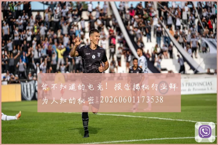 你不知道的电竞！报告揭秘行业鲜为人知的秘密_20260601173538